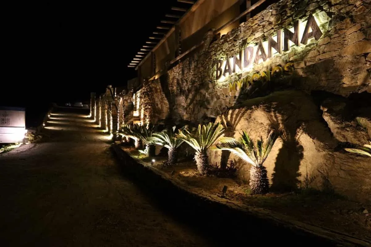 2020 — Together Once More